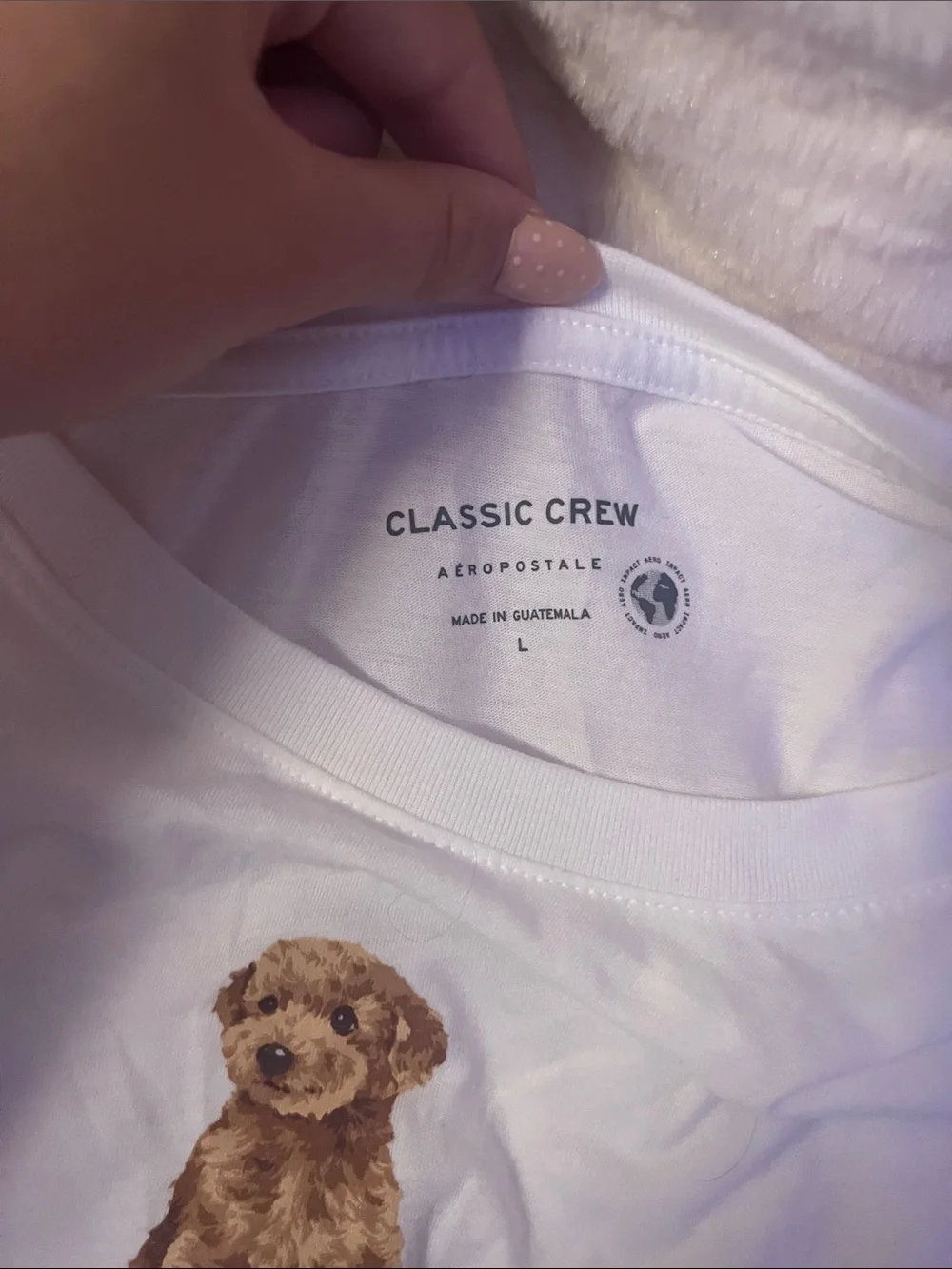 Aeropostale Classic Tee With Coquette Light Brown Puppy Motif